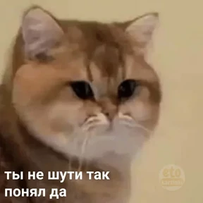Стикер 13
