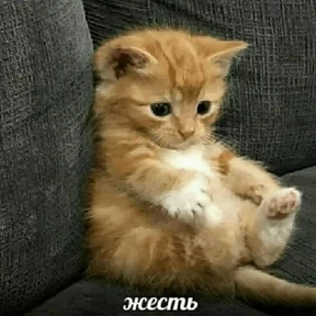 Стикер 14