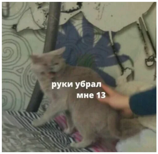 Стикер 9