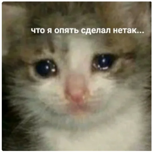 Стикер 20