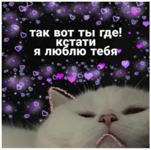 Стикер 24