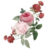 ❀ 5