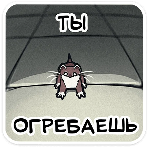 Стикер 13