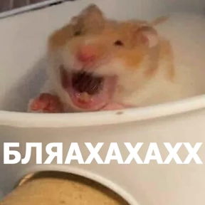 lolanimals4
