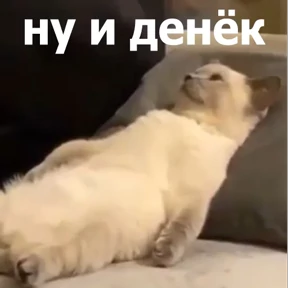 lolanimals4 2