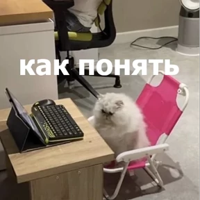 lolanimals4 3