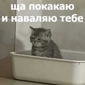 lolanimals4 4