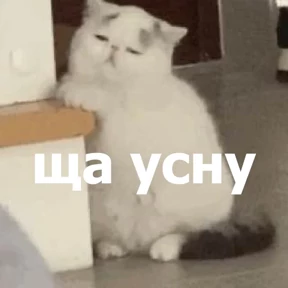 lolanimals4 6