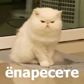 Стикер 9