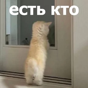 Стикер 10