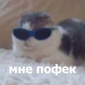 Стикер 11