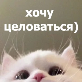 Стикер 12