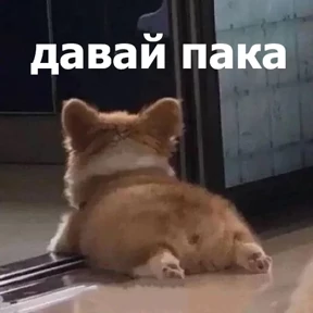 Стикер 13