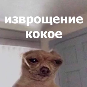 Стикер 14