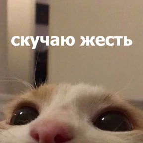 Стикер 15