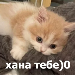 Стикер 16