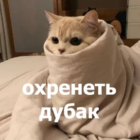 Стикер 17