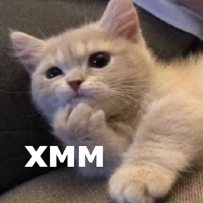 Стикер 19