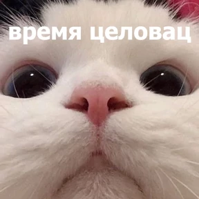 Стикер 20