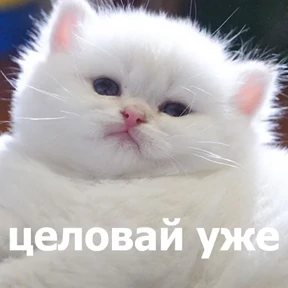 Стикер 21