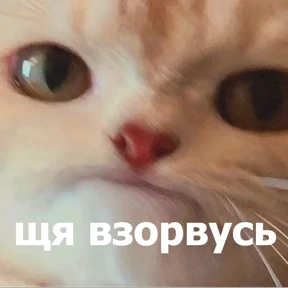 Стикер 22
