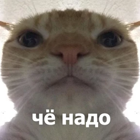 Стикер 24