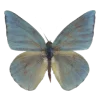 Стикер 20