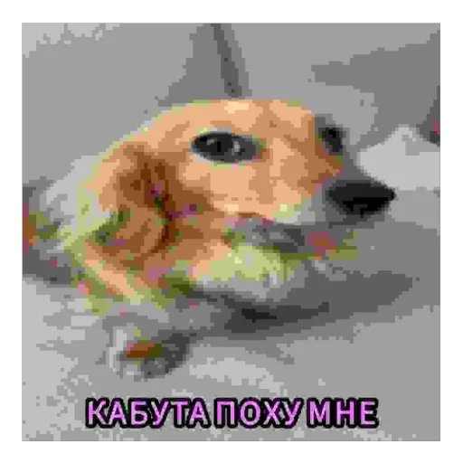 Стикер 21