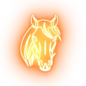 Стикер 13