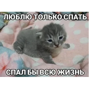 мемчики 4