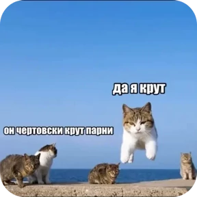 Мемные котики 2
