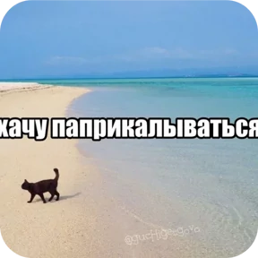 Мемные котики 3