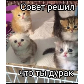 Стикер 8