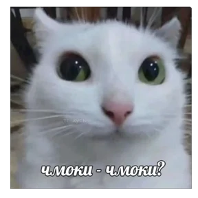 Стикер 10