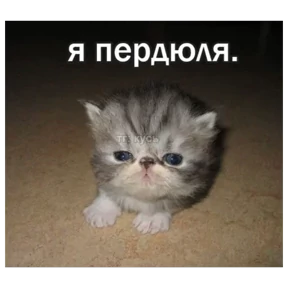 Стикер 11