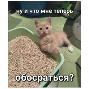 Стикер 12