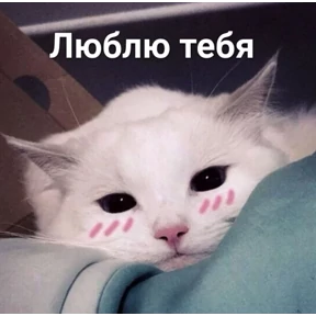 Стикер 13
