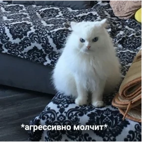 Стикер 15