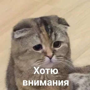 Стикер 16