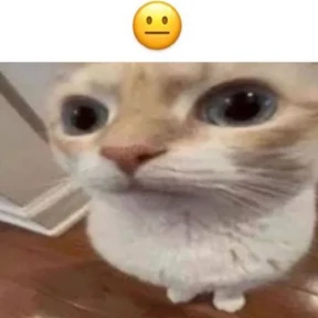 Мемы из ТТ 2