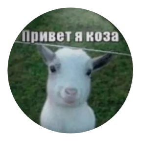Мемы 5