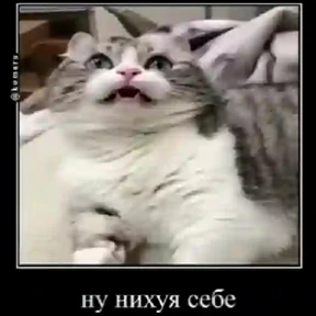 Стикер 12