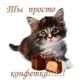 Стикер 14