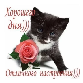 Стикер 15