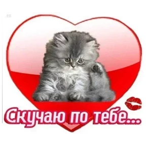 Стикер 17