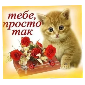 Стикер 18