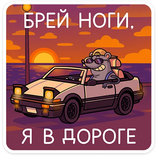Стикер 23
