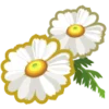 Стикер 19