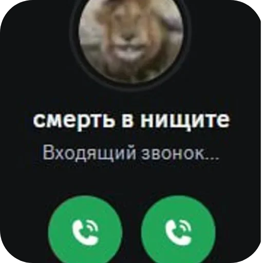 Стикер 11