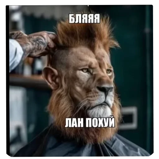 Стикер 12